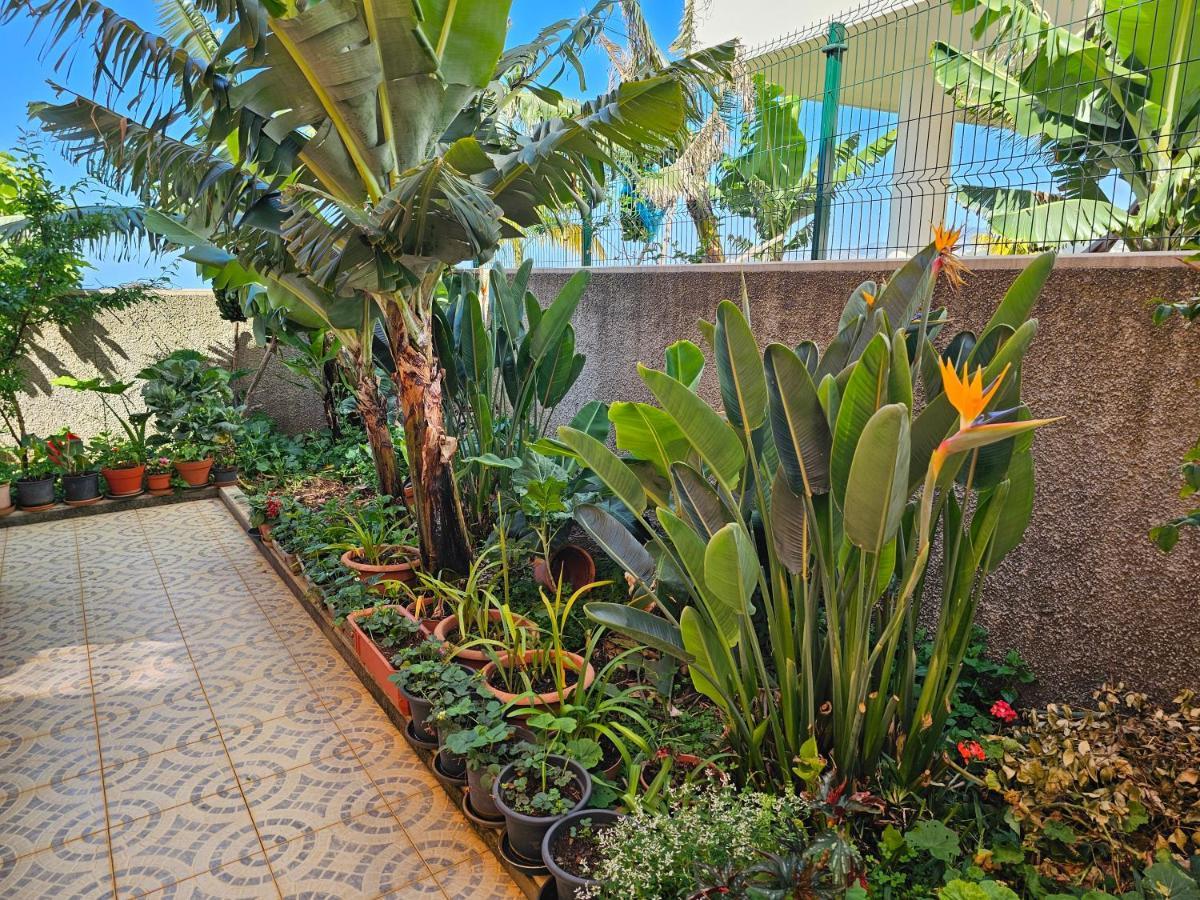 Casa De Feria Do Livramento Villa Funchal  Exterior photo